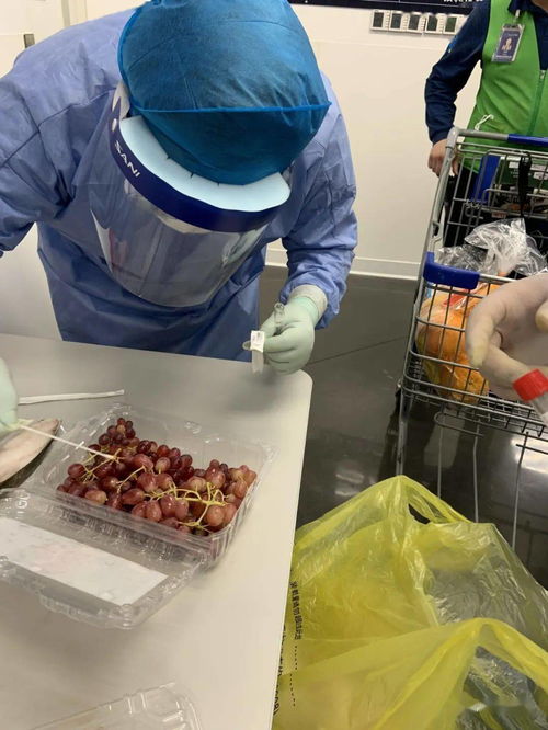 严谨防疫，守护餐桌安全 南通完成进口冷冻冷藏食品及场所新冠病毒监测
